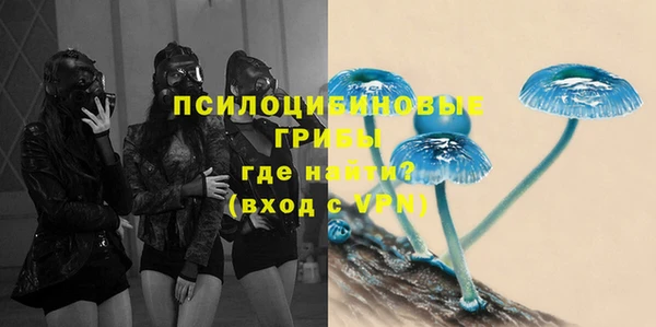 дурь Белоозёрский