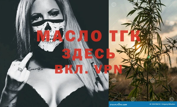 молекула духа Богданович