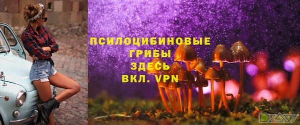 соль курить ск Богородск