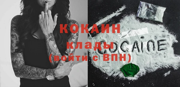 молекула духа Богданович