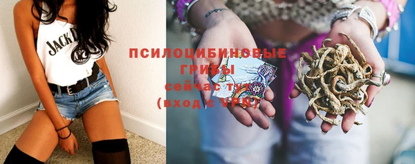 дурь Белоозёрский