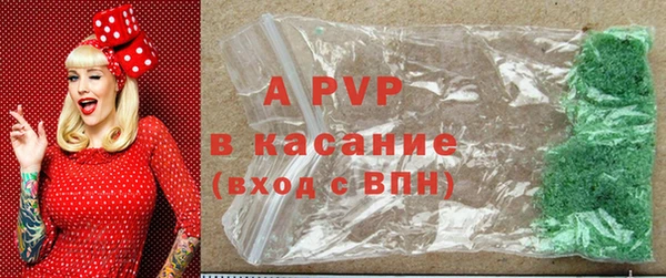 молекула духа Богданович